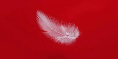 Mili department store